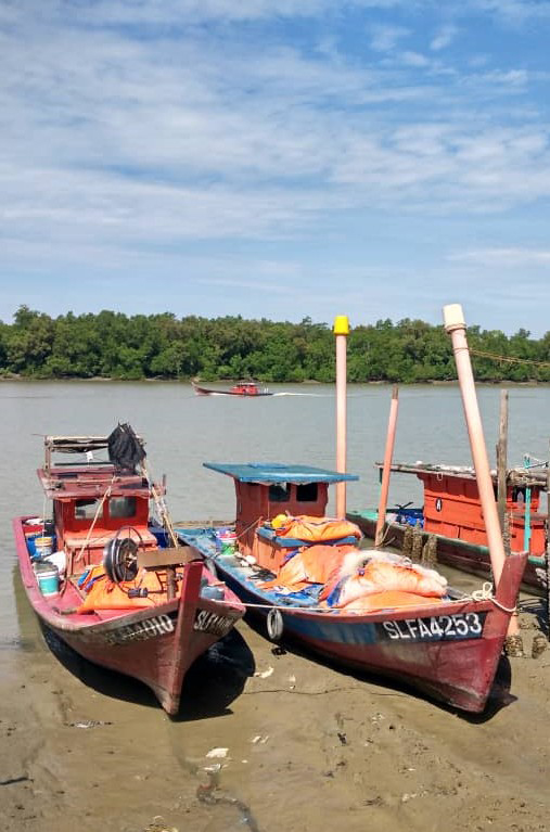 Kuala Selangor River